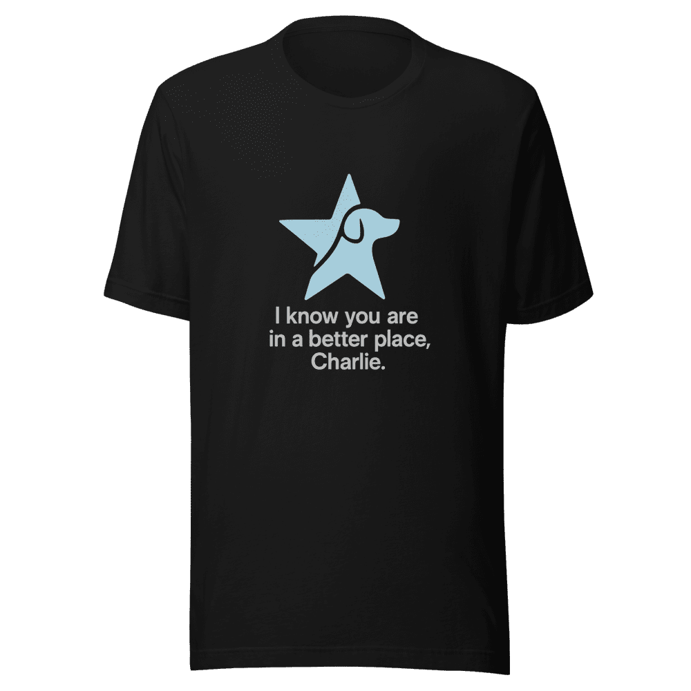 Better Place Charlie T-Shirt Viral Tribute Tee